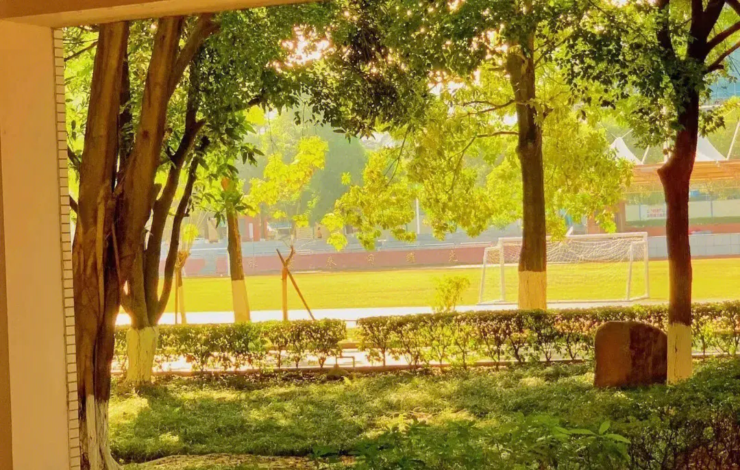 当校园思念涌动:亲情电话温暖学子的校园岁月